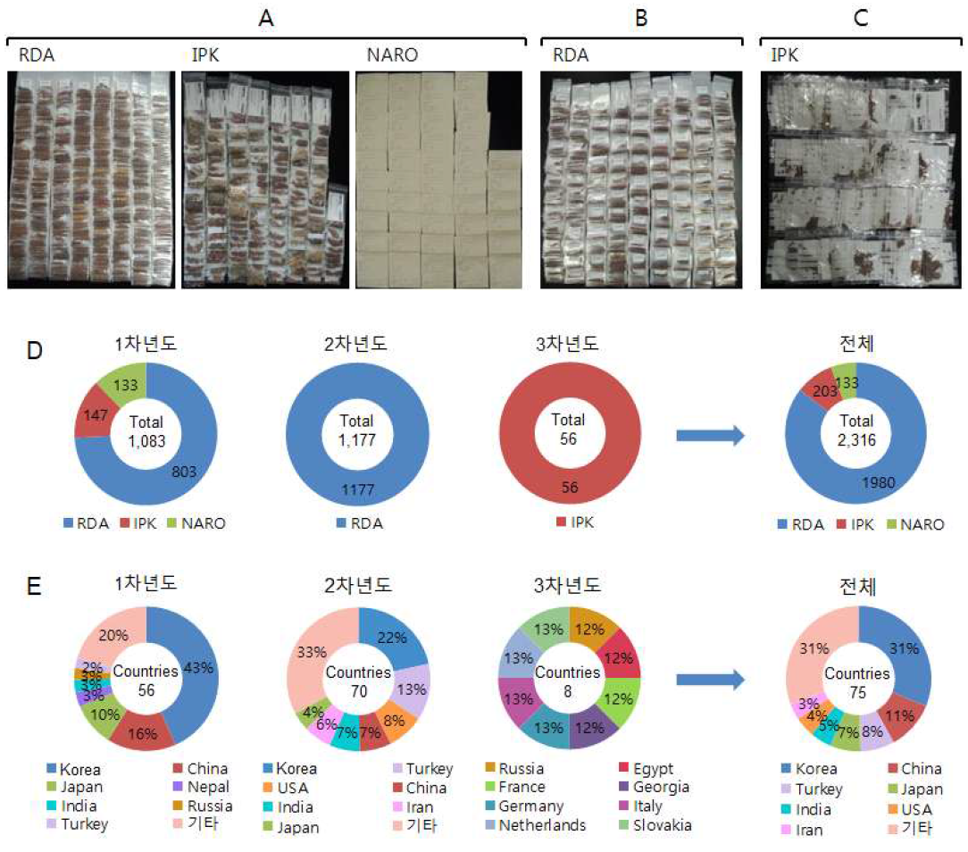 수집된 무 유전자원. A, 1차년도 수집자원; B, 2차년도 수집자원; C, 3차년도 수집 자원 D, 무 수집자원의 출처(유전자원 센터); E, 무 수집자원의 원산지 분포