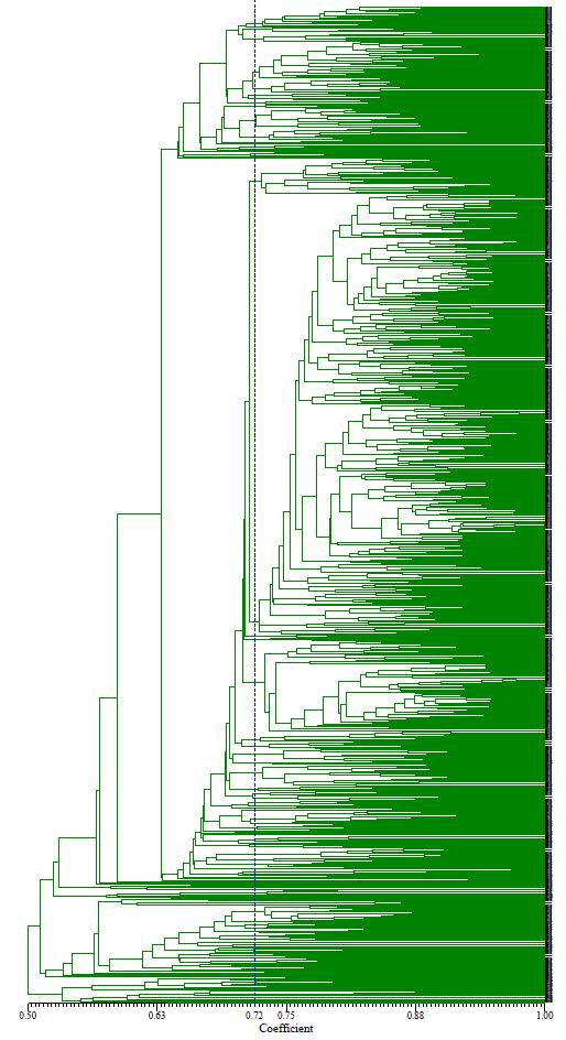 886개 크기의 2차 무 유전자원에 대한 UPGMA dendrogram