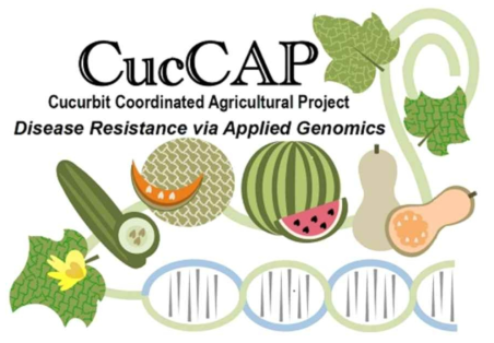 CucCAP (Cucurbit Coordinated Agricultural Project) 소개 https://cuccap.org/