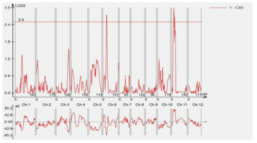 Qtlcart 프로그램을 이용한 C3G 함량 QTL(Composite Interval mapping)