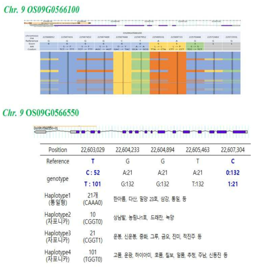 QTL qc3g9 위치의 150 품종에 대한 Haplotype 분석