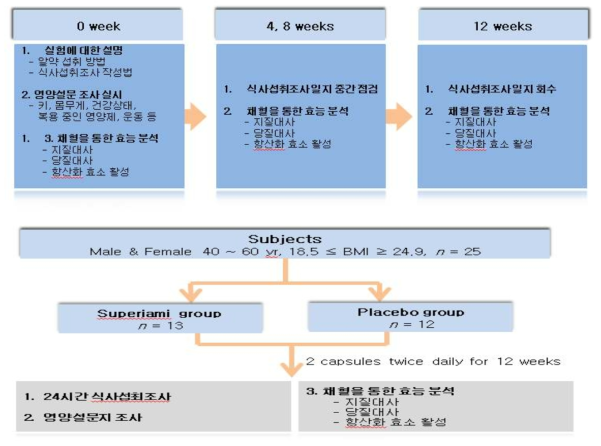 Experimental design for a trial BMI, body mass index; Superjami group, Superjami rice bran extract capsules (2g/day),; Placebo group, maltodextrin capsules (2g/day)