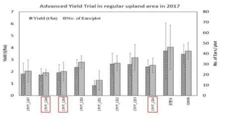 Average yield and number of harvested ears/plot for 10 hybirds tested in regular upland area in 2017. Red boxes indicate hybrids also planted in the maize-soybean inter-cropping trial