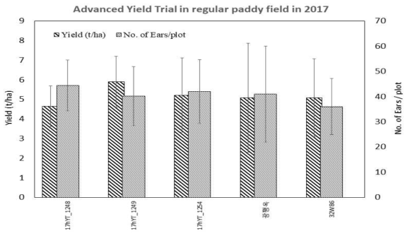 Average yield and no. of harvested ear/plot for 5 hybrids in regular paddy field