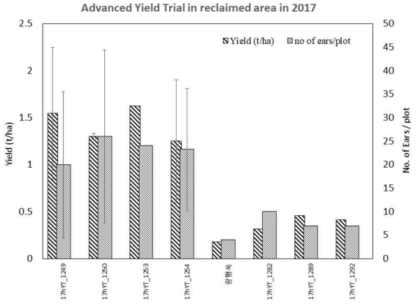 Yield of harvested hybrids and the number of ears harvested/plot. Bars without ear bar indicate yield from a single plot(rep)
