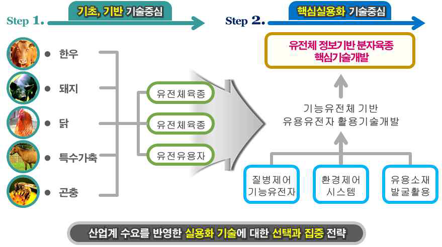 동물분자유전육종 사업단의 단계별 선택과 집중 전략