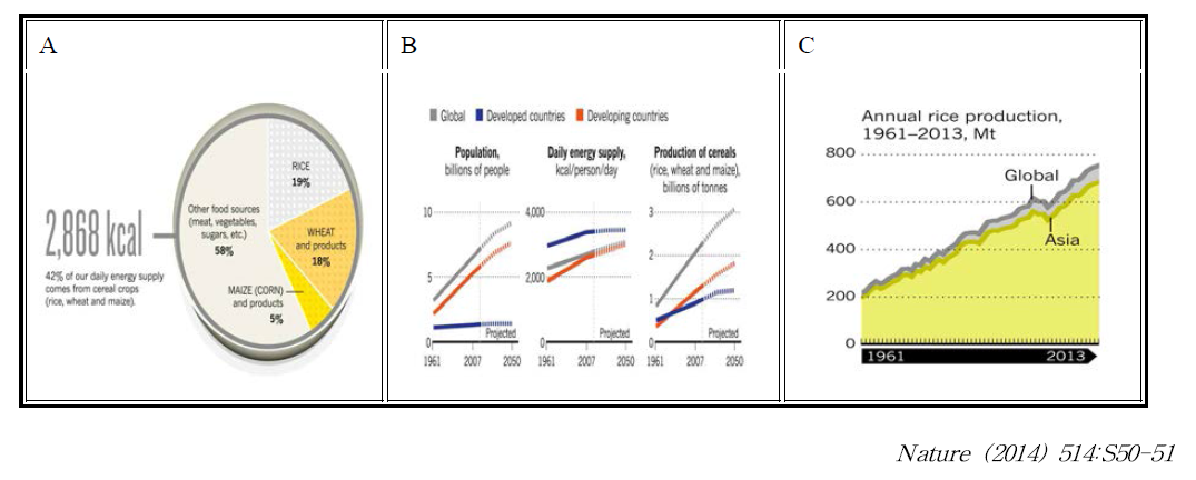 벼 대사공학을 통한 고부가가치 대사산물 생산 필요성: A 식량에너지공급원 분포도, B 곡물수요 증가추세, C 벼 생산량 증가추세