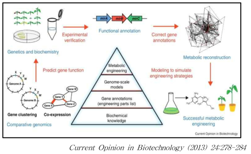 ‘Omics’ 데이터를 이용한 대사공학의 성공적 전략모델