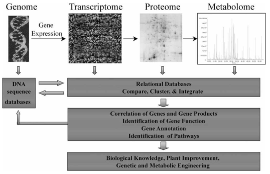유전체학, 전사체학, 단백질체학, 대사체학의 융합, 국립산림과학원 2013