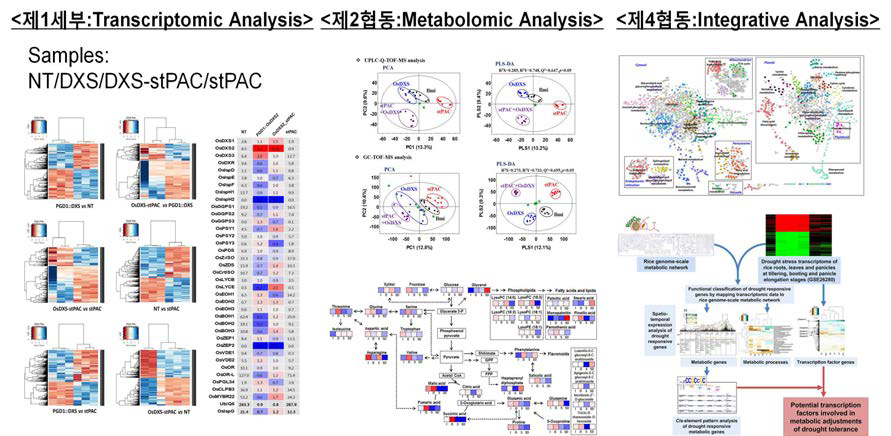 주요 터펜물질 생성경로 모듈1,2,3(MEPs/PTases/TPSs) 단계별 Omics 데이터 분석을 통한 고효율 터페노이드 대사공학 전략 수립을 위한 벼 가상세포 환경 구축 기반 기술 확립