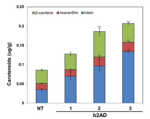 페닐프로파노이드 생성 벼(b2AD) 종자의 터페노이드 함량 분석