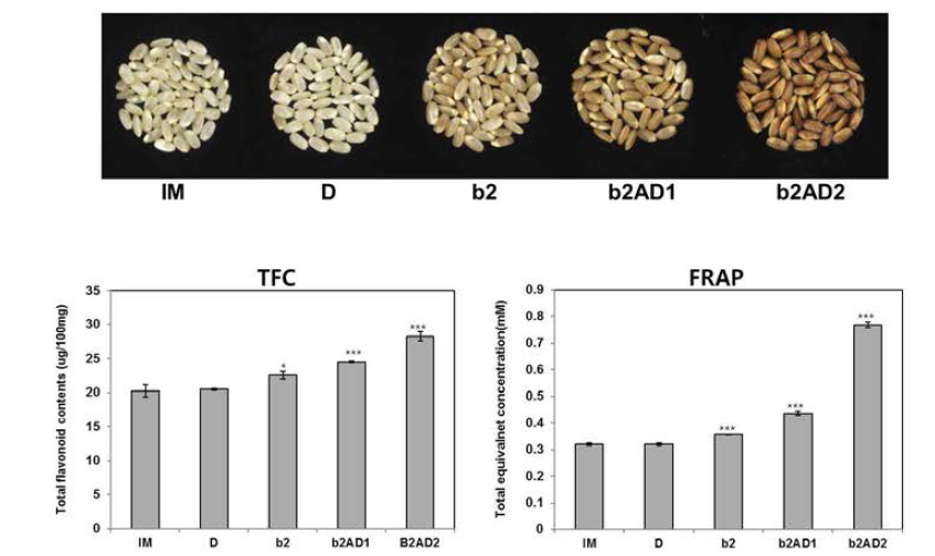 페닐프로파노이드 생성 벼(b2 ,b2AD) 종자의 총 플라보노이드 함량 및 항산화효과 분석