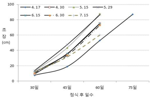 정식시기별 초장 변화