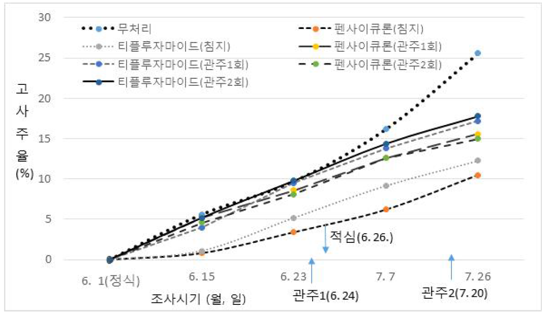 약제 처리방법별 안개초 ‘Dream Song’의 고사주 발생률