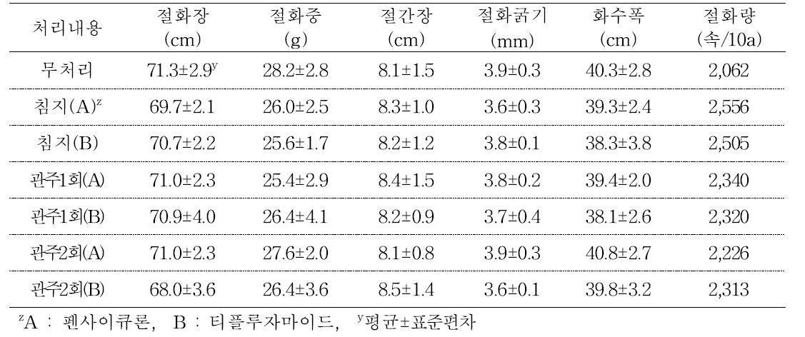 약제 처리방법별 안개초 ‘Dream Song’의 절화특성 및 절화량