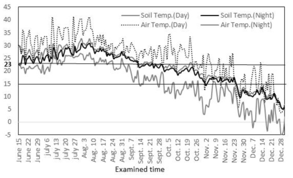 시험 수행기간 동안의 주간 및 야간 지온과 기온 변화 (2015년 6월 15일∼12월 31일) 지온은 흑백양면 비닐로 멀칭 한 지하 10cm 깊이의 온도를 1시간 평균으로 조사하여 주간과 야간 평균으로 나타내었음. 주간은 8시∼18시, 야간은 19시∼7시로 조사