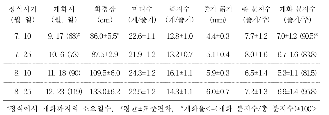 안개초 ‘Dream Song’ 평난지 가온시설 정식시기별 1번화 개화 특성