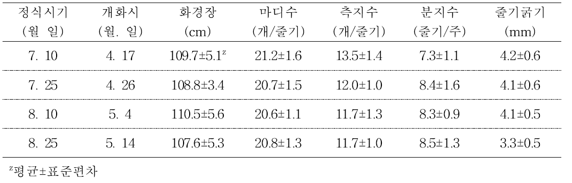 안개초 ‘Dream Song’ 평난지 가온시설 정식시기별 2번화 개화특성