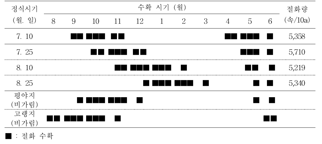 안개초 Dream Song 평난지 가온시설 정식시기별 수확시기 및 수량(재배 모식도)