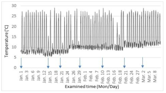 자연저온 받은 숙근 정식한 화분의 재배온실 내 기온 변화(1월 1일∼3월 10일)