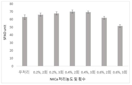 추비(NKCa) 처리 농도 및 횟수에 따른 엽록소 함량(SPAD unit). (조사 : 10월 26일)