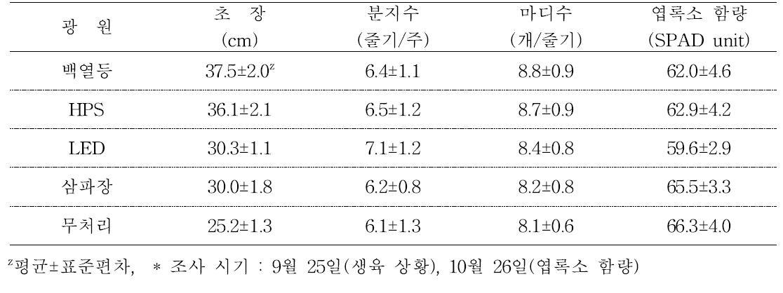 전조 광원에 따른 안개초 ‘Dream Song’의 생육 상황