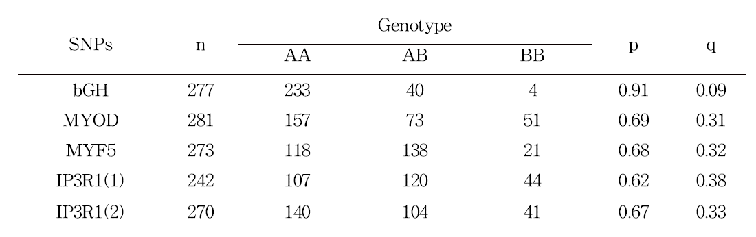 Genotype and allele frequency of 5 candidate SNPs in Hanwoo cows