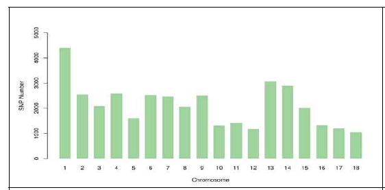 Number of single nucleotide polymorphisms (SNPs) per chromosome after quality control and imputation