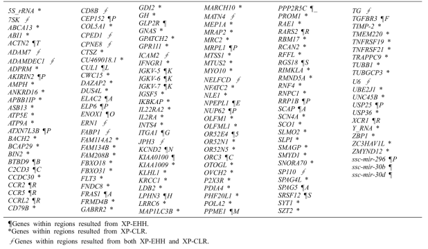 List of candidate genes resulted from genome-wide positive selection scan (overlapped in Berkshire-Yorkshire and Berkshire-Landrace)