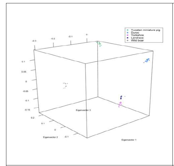 3-dimensional PCA scatter diagram showing the relative position of the five pig breeds defined by eigenvectors based on genetic relationship matrix from all autosomal SNPs