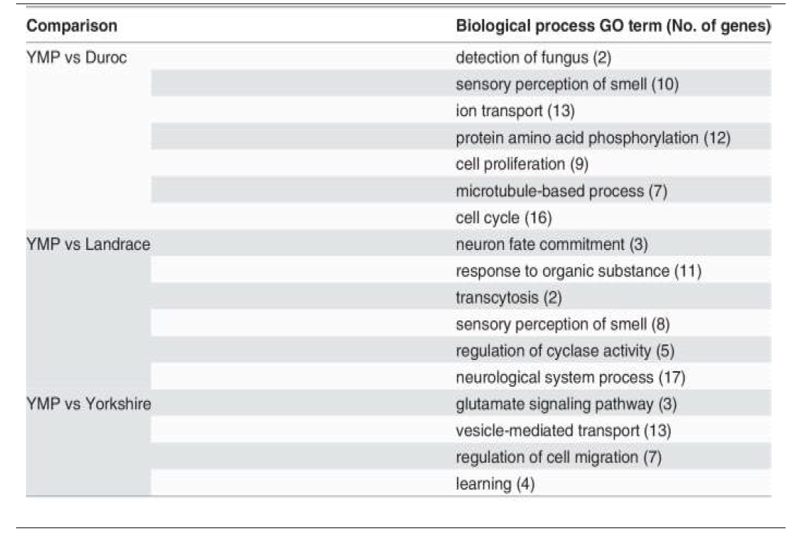 Representative biological process GO terms associated with genes located in outlier loci (regions) detected by XP-EHH method