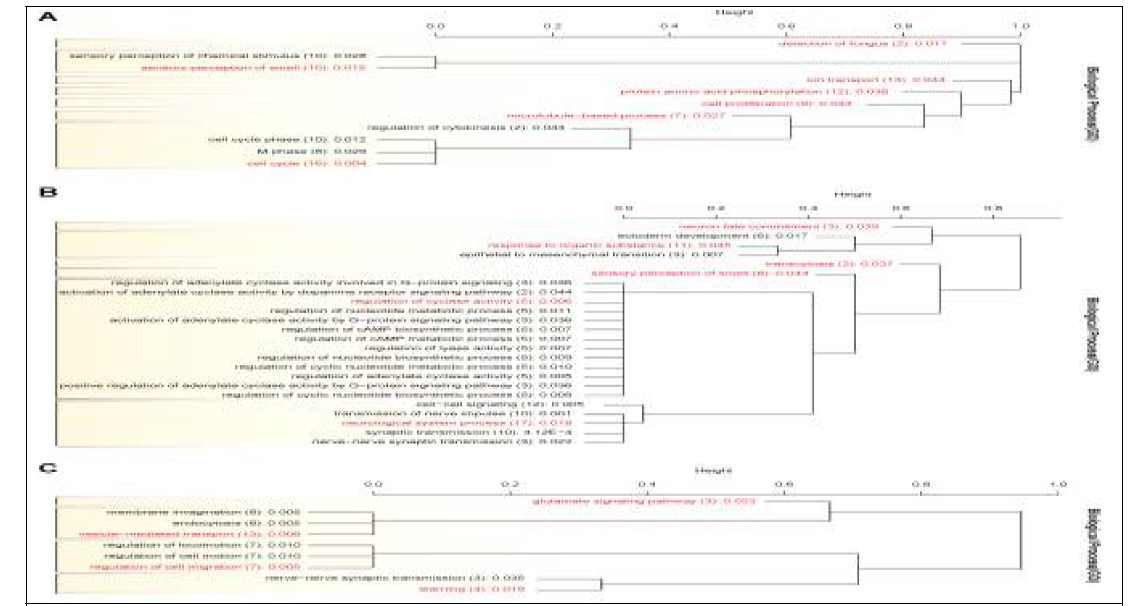 Hierarchical clustering of biological process GO terms associated with genes located in outlier loci (regions) detected by XP-EHH method in comparisons between Yucatan miniature pig and Duroc (A), Landrace (B) and Yorkshire (C). The gene list of each GO term clustered using DAVID was compared to calculate the distance between the GO terms. For a distance value of > 0.4~0.5, GO terms were re-clustered, and GO term groups are shown in boxes. The representative GO terms manually selected are shown in red. The numbers of genes in the GO terms are in brackets with the corresponding p-values