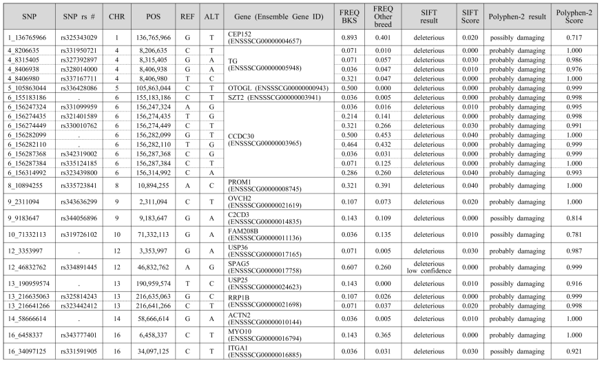 Summary of non-synonymous single amino acid variation in Genes of Berkshire selective sweep using Polyphen-2 and SIFT