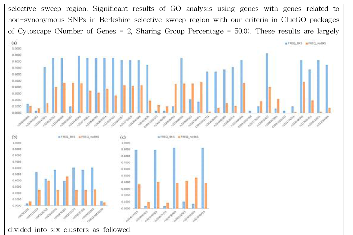 SNP frequency in C2CD3, SPAG5 and CEP152. C2CD3, CEP152 and SPAG5 were related to protein localization to centrosome in this gene ontology network analysis. We compared allele frequency in Berkshire population of SNPs in these three genes with allele frequency in others population (a: SNPs in C2CD3, b: SNPs in SPAG5 and c: CEP152) and showed in this figure. Blue bar indicated allele frequency in Berkshire population and orange bar represented SNP allele frequency in others population