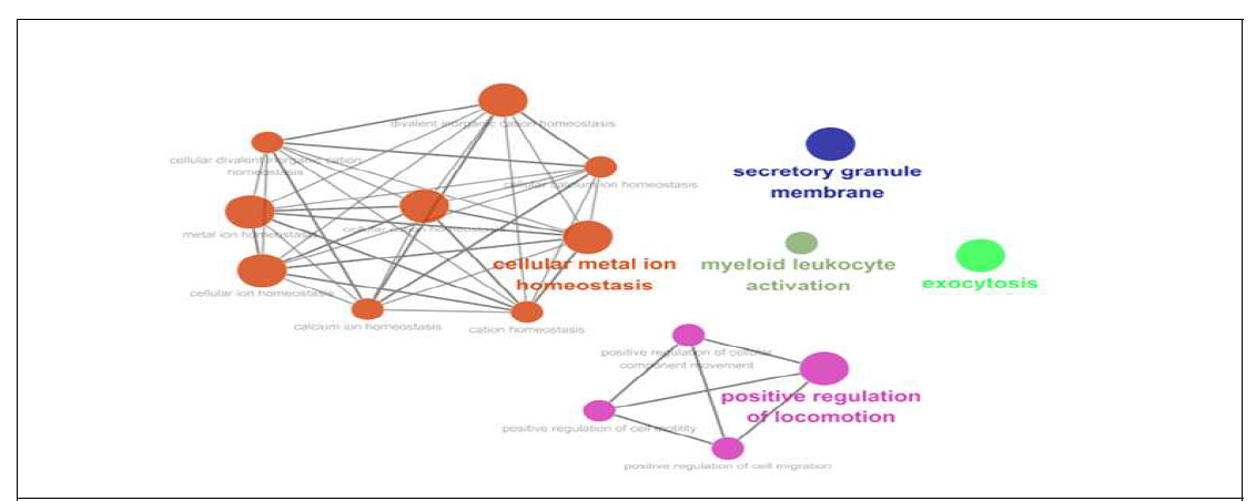 Gene ontology (GO) network analysis of genes related to non-synonymous SNPs in Landrace selective sweep regions. Significant results of GO analysis using genes related to non-synonymous SNPs in the selective sweep regions of the Landrace genome with our criteria in ClueGO packages of Cytoscape (number of genes = 4, sharing group percentage = 40.0). These results are largely divided into eight clusters as follows