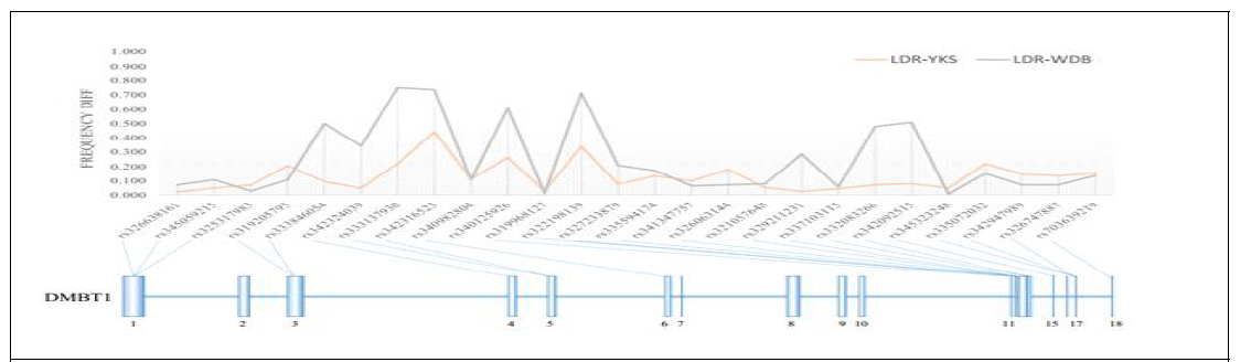 Frequency difference of nsSNPs in DMBT1 genes between Landrace and other breeds (Yorkshire and wild boar)