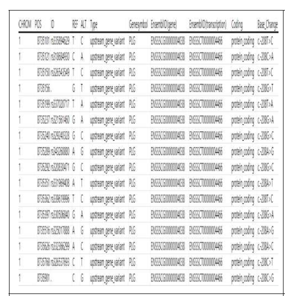 제주재래돼지의 DEG에서 발굴된 upstream 변이 내역
