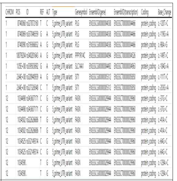 제주재래돼지의 DEG에서 발굴된 5‘-UTR 변이 변이 내역