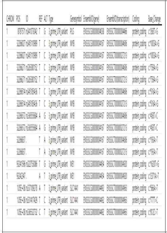 제주재래돼지의 DEG에서 발굴된 3‘-UTR 변이 변이 내역