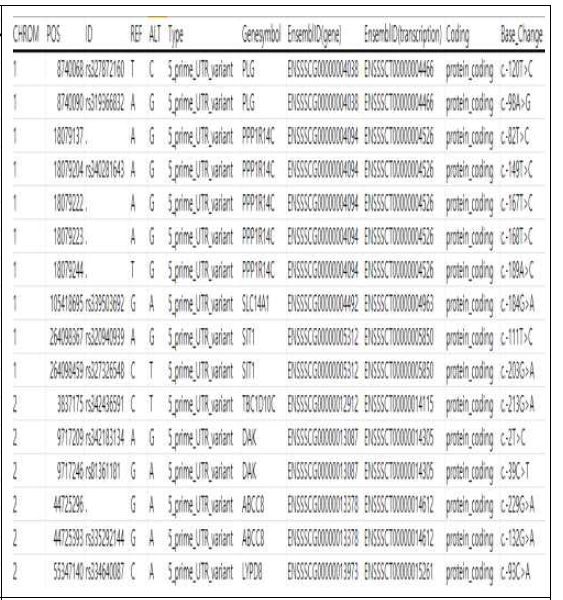 버크셔의 DEG에서 발굴된 5‘-UTR 변이 변이 내역
