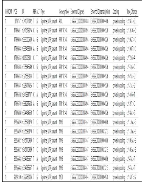 버크셔의 DEG에서 발굴된 3‘-UTR 변이 변이 내역
