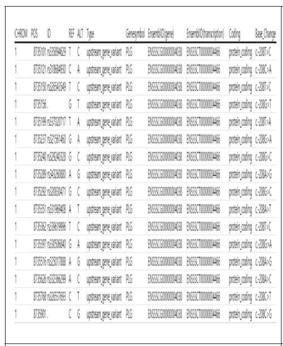 재래돼지의 DEG에서 발굴된 upstream 변이 내역