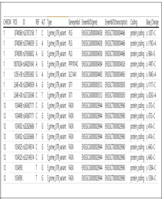 재래돼지의 DEG에서 발굴된 5‘-UTR 변이 변이 내역