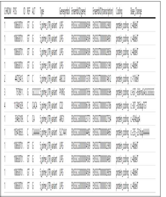 재래돼지의 5