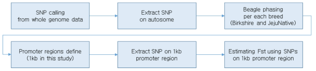 유전자 프로모터의 SNP를 이용한 FST 분석흐름도