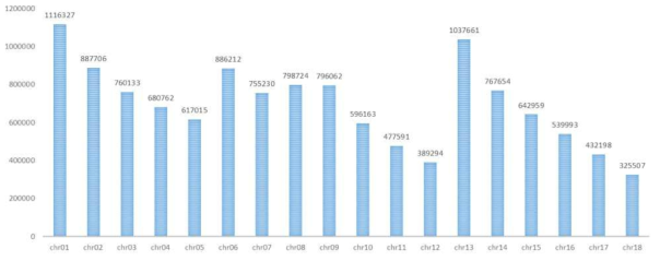 Quality control 후 염색체별 SNP number