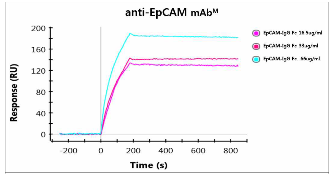 정제된 EpCAM-IgG Fc 융합백신단백질의 농도에 따른 항원-항체 상호작용 분석 을 위한 SPR 결과
