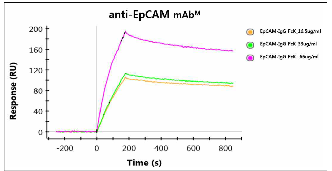 정제된 EpCAM-IgG FcK 융합백신단백질의 농도에 따른 항원-항체 상호작용 분 석을 위한 SPR 결과