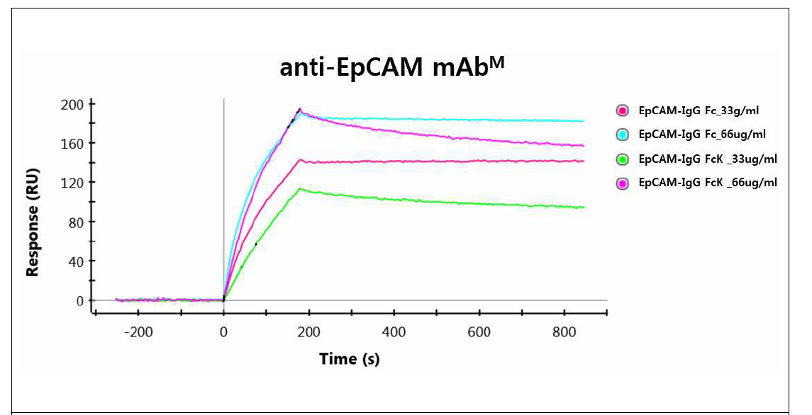 정제된 EpCAM-IgG Fc, EpCAM-IgG FcK 융합백신단백질의 항원-항체 상호작용 분석을 위한 SPR 결과