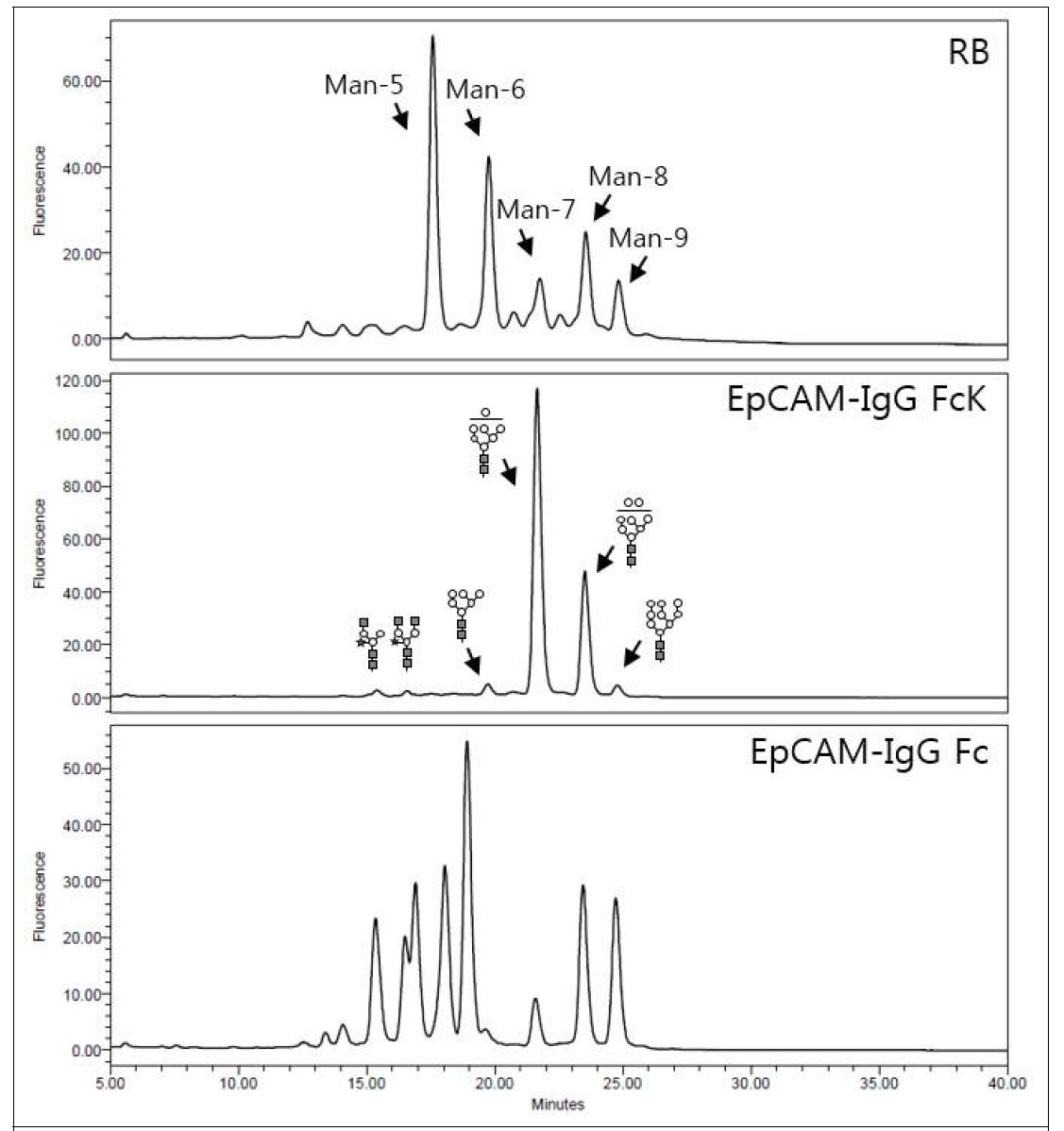 정제된 EpCAM-IgG Fc, EpCAM-IgG FcK 융합백신단백질의 당구조 분석을 위한 HPLC 결과